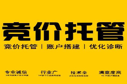 托管SEM竞价策略：打造高性价比广告投放